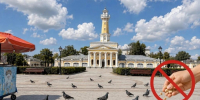 В Костроме хотят запретить кормить голубей - Интернет-телевидение Логос