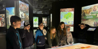 В казанском парке «Россия – Моя история» расскажут об исторической роли кошек - ИА Татар-информ