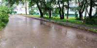 Возможен дождь – прогноз погоды в ЕАО на 5 августа - РИА Биробиджан