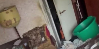 Видео: в захламленной квартире в Мурино кошка заперта одна больше 10 дней - Spbdnevnik.ru