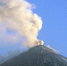 Команда учёных выясняет, почему гибнут птицы на Камчатке   - KamchatkaMedia.Ru