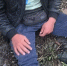 Во Владивостоке прохожие остановили иностранца, преследовавшего 16-летнюю школьницу - Otvprim.Ru