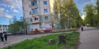 Как в Нерюнгри сберечь зеленые насаждения от лишней вырубки? - ИА SakhaTime