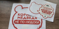 Автомобилистам Камчатки выдают стикеры с правилами добрососедства с медведями 0 - КамИНФОРМ