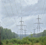 Несколько томских СНТ 5 августа останутся без электричества - Комсомольская Правда
