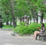 403 единицы общественного транспорта вышли на городские маршруты сегодня утром - Администрация г. Хабаровска