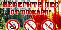 На территории муниципального образования Ногликский муниципальный округ введено ограничение на пребывание граждан в лесах и въезда в них транспортных средств - Агентство лесного и охотничьего хозяйства