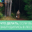 Барнаульцам напоминают, как вести себя, если заблудились в лесу - Администрация г. Барнаул