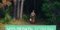Барнаульцам напоминают, как вести себя, если заблудились в лесу - Администрация г. Барнаул