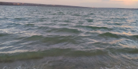 Плававший на бревне мужчина утонул в Новосибирском водохранилище - Сетевое издание Толк