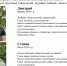 "Ищу маму!" - Помогите детям обрести любовь и заботу. - Макушинский муниципальный округ