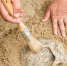 Фото: Microgen/Shutterstock/Fotodom - Ямал-Медиа