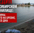 Плавал на бревне: в Новосибирске утонул мужчина - Precedent.TV