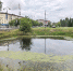 «Поганый» прудок в Тобольске - Tobolsk.Info