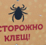 Второй пик активности клещей ожидается в Новосибирской области - Gorsite.Ru