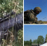 Под Новосибирском запустили дроны для воздушной разведки - Сиб.фм