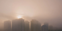 Фото: Kateryna Mostova/Shutterstock/Fotodom - Ямал-Медиа