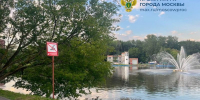 Прокуратура устанавливает обстоятельства гибели 10-летней девочки - Chehov-Vid.Ru