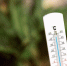 Жара до +32 °C в Москве и Подмосковье: прогноз на 5–7 августа и рекомендации МЧС по защите здоровья - Chehov-Vid.Ru