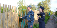 Право на тишину: побудили владелицу 30 собак  исполнить решение суда - УФССП России