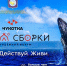 Фото: www.amurobl.ru - Амурское областное телевидение