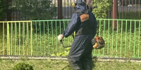 За сутки в Вологде выкосили 14 гектаров травы и убрали 55 кубов смёта - OnlineVologda.Ru