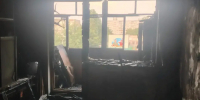 В Прибрежном пожарные вывели из горящей шестиэтажки восемь человек, кошку и собаку (фото) - NewKaliningrad.Ru