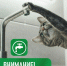 Внимание! Отключение водоснабжения!. - Великоустюгский муниципальный округ