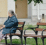 Фото: ПАИ - InformPskov.Ru