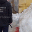 В Туле наледь с крыши упала на женщину: ответственного будут судить - ТК Первый Тульский