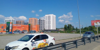 Воронежцам рассказали о новых правилах перевозки животных в такси - VrnTimes.Ru