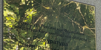 Благоустройство с нарушениями: ЛДПР добивается справедливости для жителей калининградских домов - ЛДПР