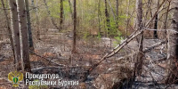 С жителя Бурятии взыскали более 280 тысяч рублей за ночной пожар в лесу - Газета Номер один