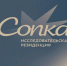 В рамках арт-резиденции «Сопка» в Культурном центре парка «Маяк» пройдут встречи с художницами - Министерство культуры и туризма