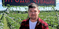 - Фермер из Чувашии наращивает сбор земляники втрое с помощью гранта в 5 млн рублей:  ягоды школа фермера - Газета Грани