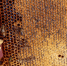 Россиянам сообщили про главный признак натурального меда - Петербургский дневник