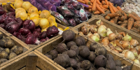 В регионе зафиксированы минимальные цены на отдельные категории продуктов - Пенза-Обзор