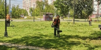 Покос травы, уборка города, спил веток – 5 августа - Город Ковров