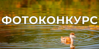 Жителей Поморья приглашают принять участие в IV Всероссийском фотоконкурсе «Водные достояния России» - Сетевое издание Север