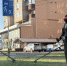 Фото: Пресс-служба мэрии Майкопа - Газета Майкопские новости