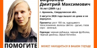 В Арамили пропал 16-летний подросток - КП Екатеринбург