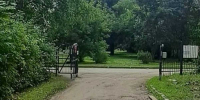 Пострадавшего пешехода госпитализировали. - Новгородские Ведомости