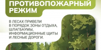 Особый противопожарный режим - Усманский муниципальный район