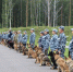 Кинологи - копия - News-TM.Ru