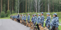 Кинологи - копия - News-TM.Ru