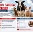 Информация о возрастании риска трансграничного заноса вируса ящура типа SAT-1 на территорию Астраханской области. - Администрация Камызякского района