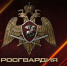 Ключевые события Росгвардии: итоги недели с 20 июля по 26 июля (видео) - Росгвардия