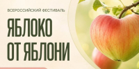 Ежегодный Всероссийский Фестиваль «Яблоко от Яблони». - Изобильненский городской округ