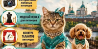 В Астрахани впервые состоится фестиваль «Пушистые модники» - Bloknot-Astrakhan.Ru