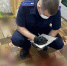 Следственными органами задержан курганец, подозреваемый в покушении на убийство ребенка - Следственный комитет